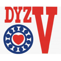 DYZV